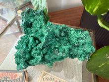 Load image into Gallery viewer, Velvet Malachite