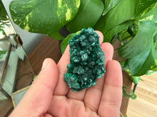 Load image into Gallery viewer, Velvet Malachite