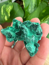 Load image into Gallery viewer, Velvet Malachite