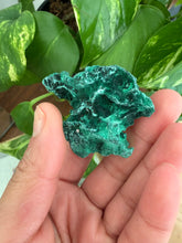 Load image into Gallery viewer, Velvet Malachite