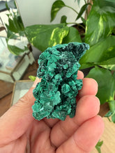 Load image into Gallery viewer, Velvet Malachite