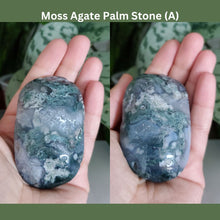 Load image into Gallery viewer, Moss Agate Palm Stone (A)
