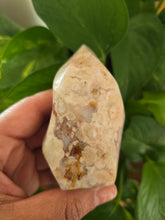Load image into Gallery viewer, Carnelian flower Agate Flame (B)