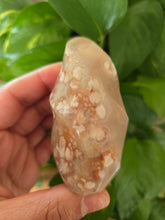 Load image into Gallery viewer, Carnelian flower Agate Flame (A)