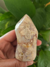 Load image into Gallery viewer, Carnelian flower Agate Flame (B)