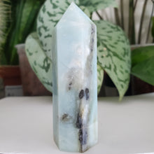 Load image into Gallery viewer, Caribbean Calcite Tower (CC14D)