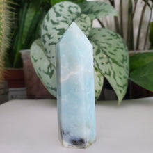 Load image into Gallery viewer, Caribbean Calcite Tower (CC14D)