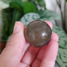 Load image into Gallery viewer, Ocean Jasper Mini Sphere (OJ11L)