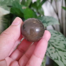 Load image into Gallery viewer, Ocean Jasper Mini Sphere (OJ11L)