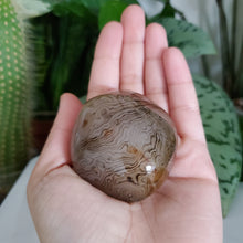 Load image into Gallery viewer, Sardonyx Palm Stone (B)