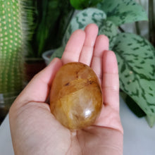 Load image into Gallery viewer, Golden Healer Palm Stone (A)
