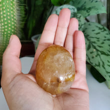 Load image into Gallery viewer, Golden Healer Palm Stone (A)