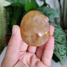 Load image into Gallery viewer, Golden Healer Palm Stone (A)