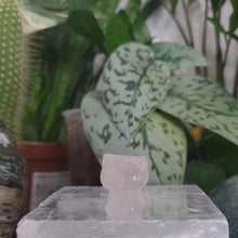 Load image into Gallery viewer, Hello Kitty Carving