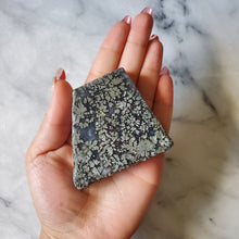 Load image into Gallery viewer, Pyrite flower Agate slab