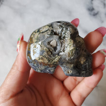 Load image into Gallery viewer, Ocean Jasper Skull