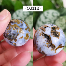 Load image into Gallery viewer, Ocean Jasper Spheres