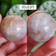 Load image into Gallery viewer, Ocean Jasper Spheres