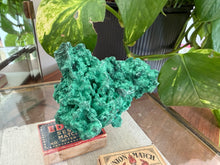 Load image into Gallery viewer, Velvet Malachite
