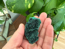 Load image into Gallery viewer, Velvet Malachite
