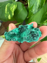 Load image into Gallery viewer, Velvet Malachite
