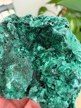 Load image into Gallery viewer, Velvet Malachite
