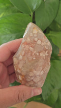 Load and play video in Gallery viewer, Carnelian flower Agate Flame (A)
