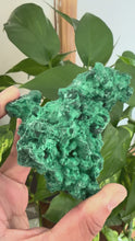 Load and play video in Gallery viewer, Velvet Malachite
