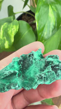 Load and play video in Gallery viewer, Velvet Malachite
