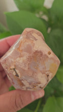Load and play video in Gallery viewer, Carnelian flower Agate Flame (D)
