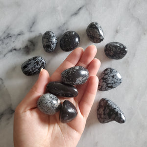 Snowflake Obsidian Tumble Stone