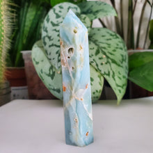 Load image into Gallery viewer, Caribbean Calcite Tower (CC14H)
