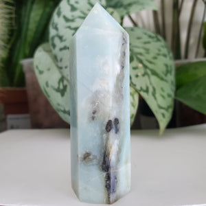 Caribbean Calcite Tower (CC14D)