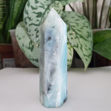 Load image into Gallery viewer, Caribbean Calcite Tower (CC12B)
