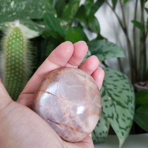 Peach Moonstone Palm Stone