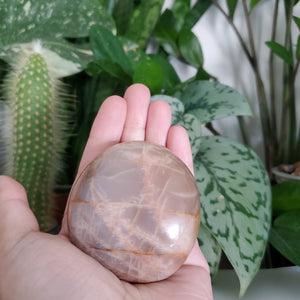 Peach Moonstone Palm Stone