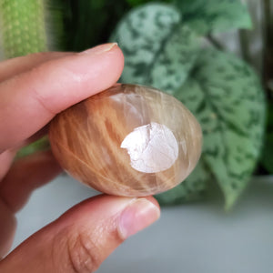 Peach Moonstone Palm Stone (A)