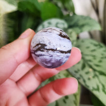 Load image into Gallery viewer, Ocean Jasper Mini Sphere (OJ11C)
