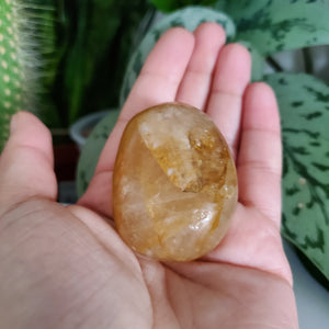 Golden Healer Palm Stone (B)