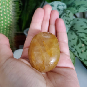 Golden Healer Palm Stone (B)