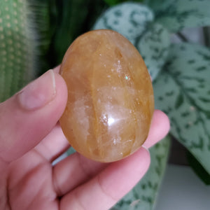 Golden Healer Palm Stone (B)