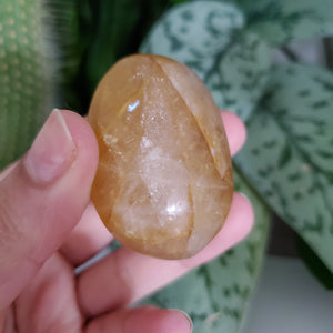 Golden Healer Palm Stone (B)