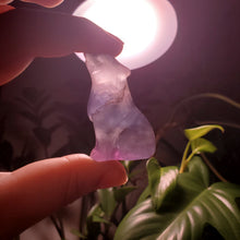 Load image into Gallery viewer, Rainbow Fluorite Wolf
