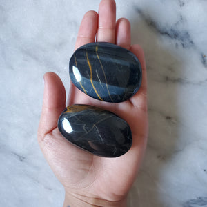 Blue Tigers Eye Palm