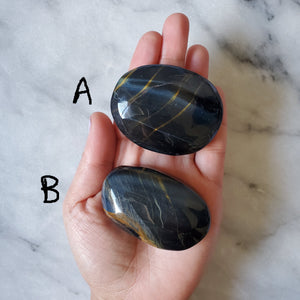 Blue Tigers Eye Palm